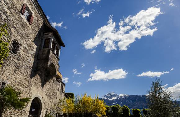 Activities in South Tyrol - Hotel Erika